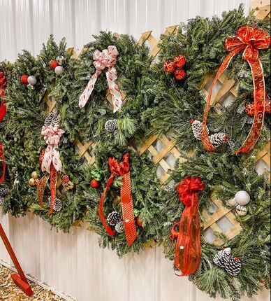 Fresh evergreen wreaths with red ribbon hanging on a lattice display
